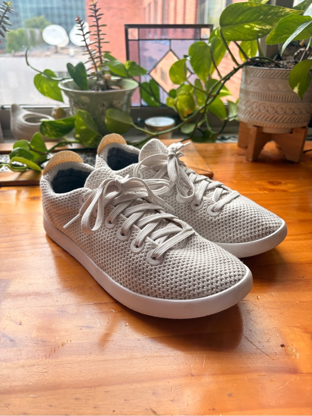 Allbirds Tree Pipers White Sneaker Women’s Size 9